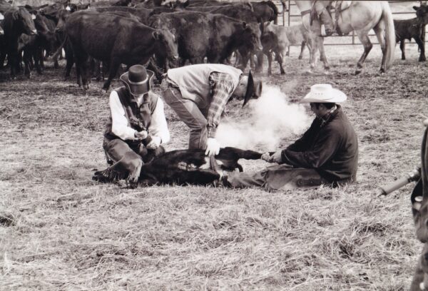 cowboys doing cowboy stuff