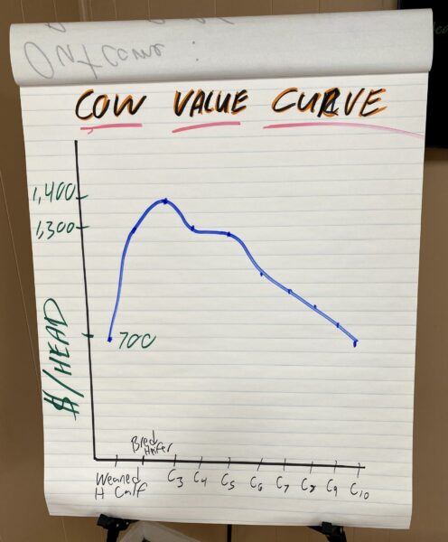 cow value curve