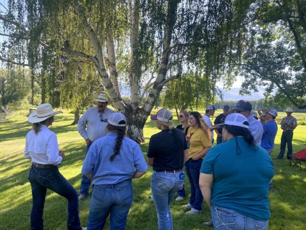 Young Ranchers Ranching for Profit Intensive