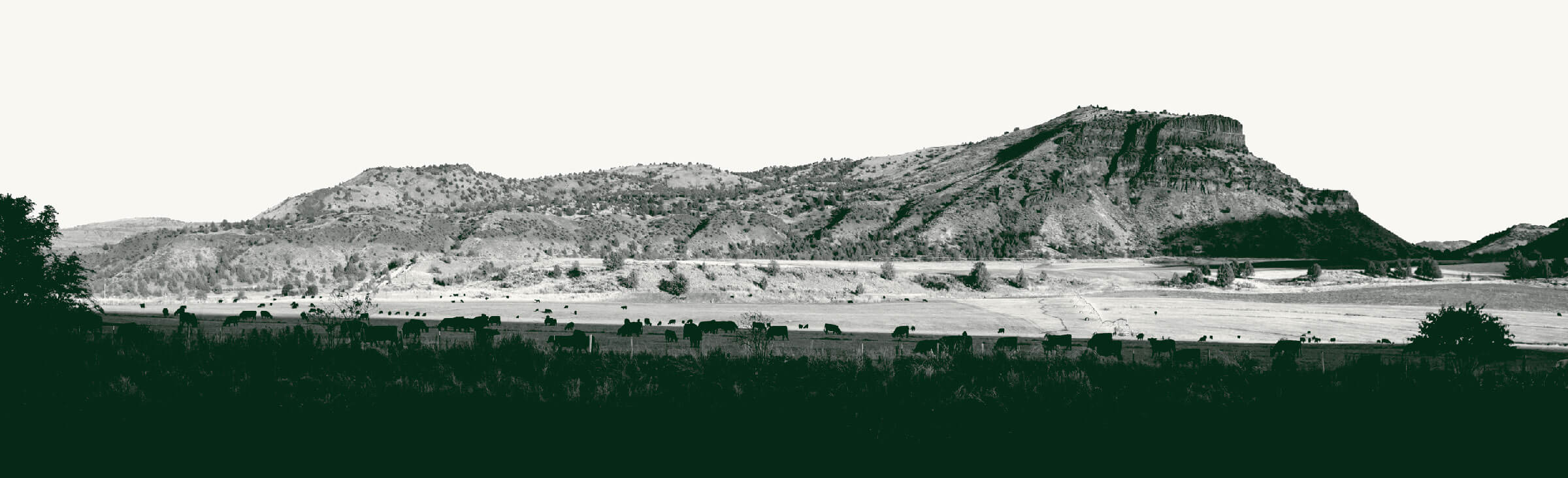 Scenic Ranch Landscape