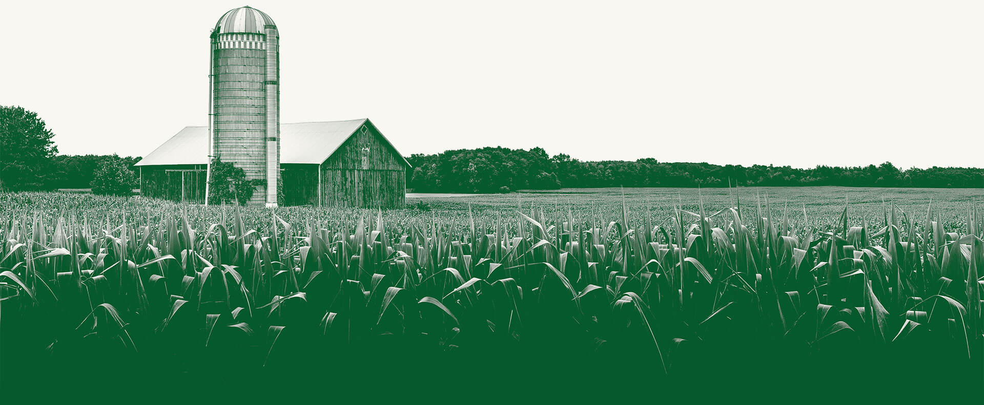 landscape image of barn