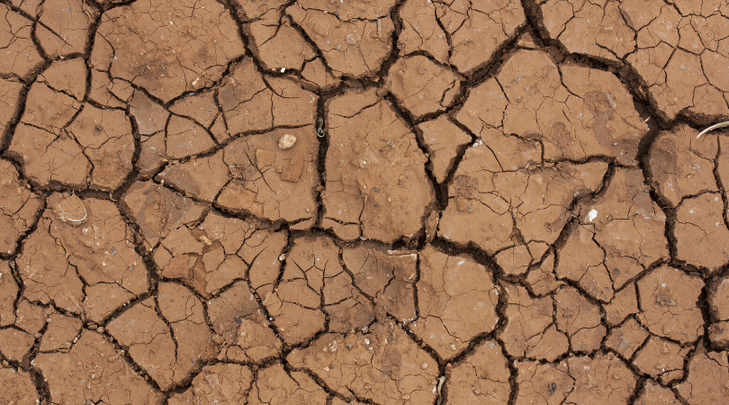 Implementing the Drought Plan