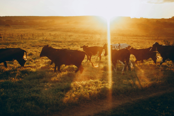 Gross margin per unit measures the economic efficiency of the enterprise.