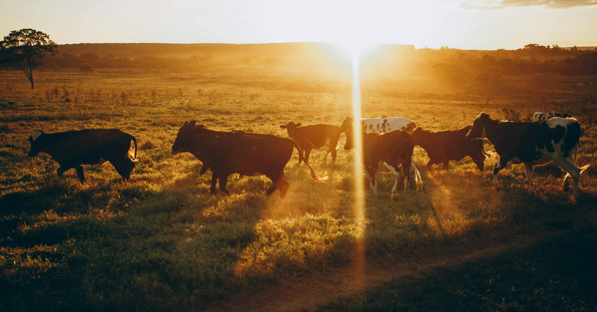 Gross margin per unit measures the economic efficiency of the enterprise.