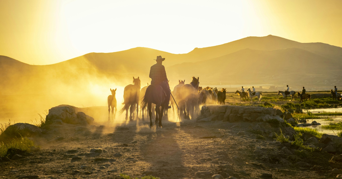 Ranch family gathering horses