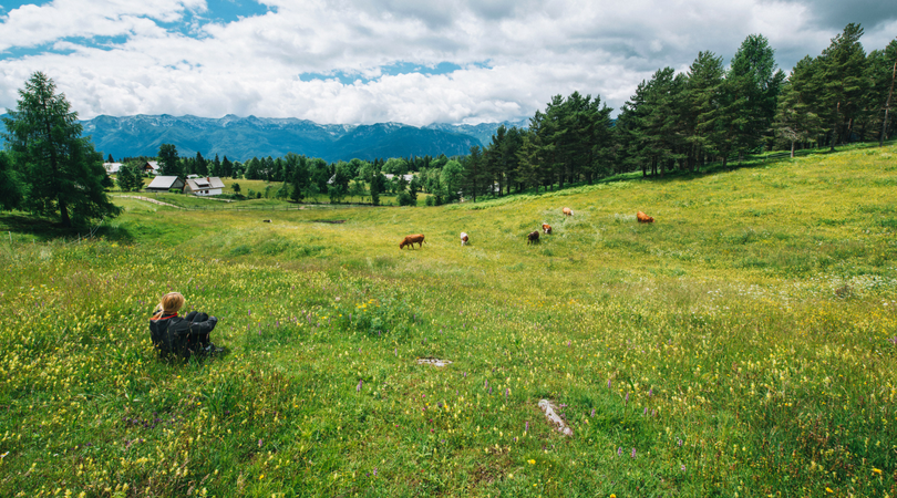 You Might Be Cell Grazing If…