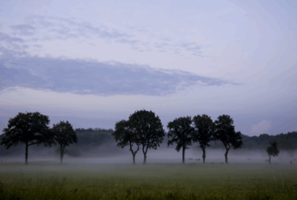 ranch land legacy
