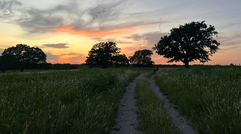 Land Management: A Metaphor for Better Leadership