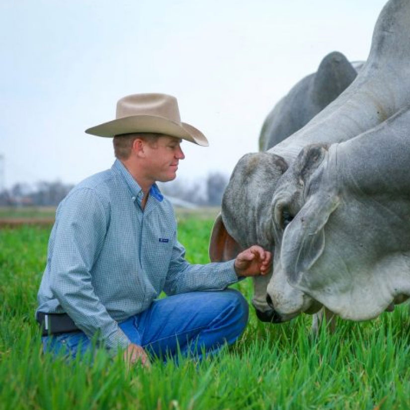 John Locke, Ranching for Profit School Instructor